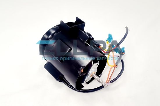 Изображение Мотор KW716901 для мясорубок Kenwood